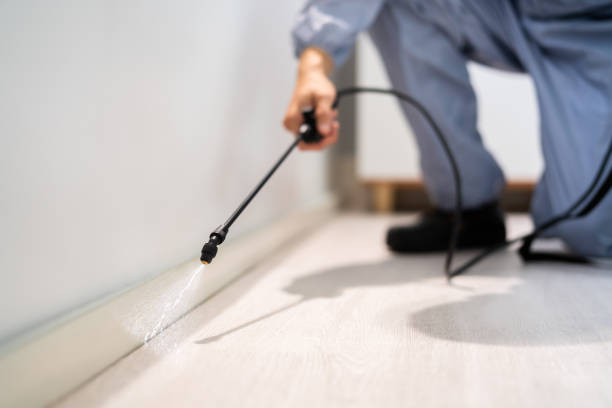 Licensed Cockroach Control service in Hawthorne, NV - Nex Pest Control