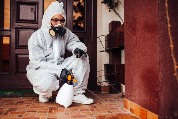 Reliable Cockroach Control contractor in Hawthorne, NV by Nex Pest Control